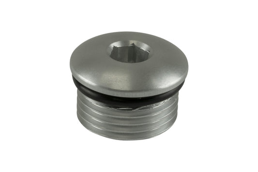 Turbosmart -10AN ORB blank fitting in clear, lightweight metal with threaded design for automotive fluid connections.