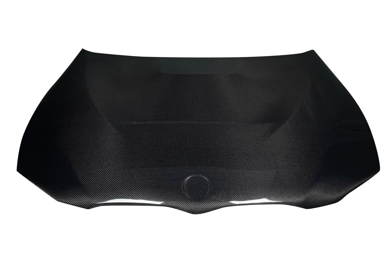 2007-2010 BMW 3 Series Carbon Creations GTS Carbon Fiber Hood