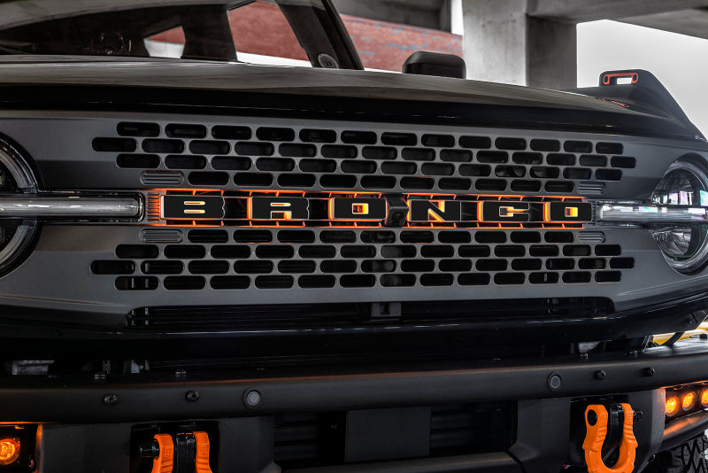 ORACLE Lighting Universal Illuminated LED Letter Badges - Matte Blk Surface Finish - Z
