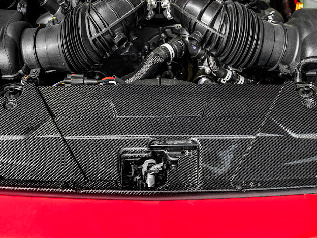 2024-UP MUSTANG S650 | CARBON FIBER ENGINE BAY RADIATOR PANEL TRIM REPLACEMENT