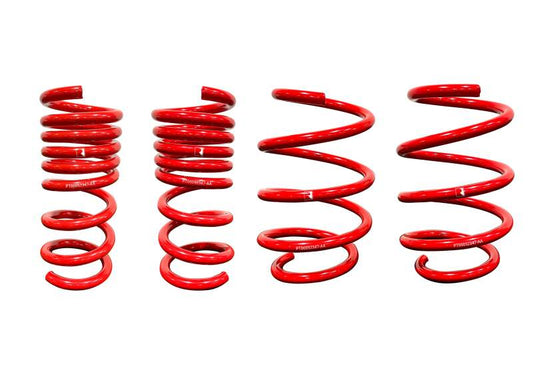 Roush Ford Mustang EcoBoost lowering springs, 15-25 model, without Magneride, showing the spring coil and suspension components
