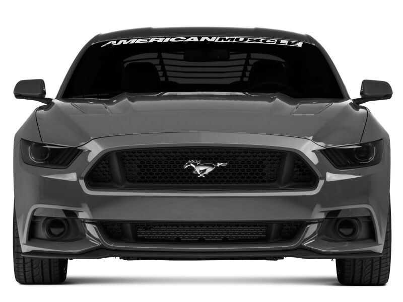 Raxiom 15-17 Ford Mustang Axial Series switchback turn signal sidemarkers and indicators on a vehicle.