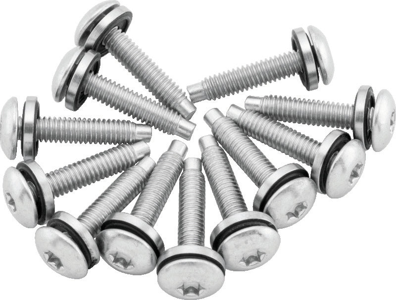 Twin Power 04-17 Dyna Models Fuel Pump Plate Screw Kit Replaces H-D 1331