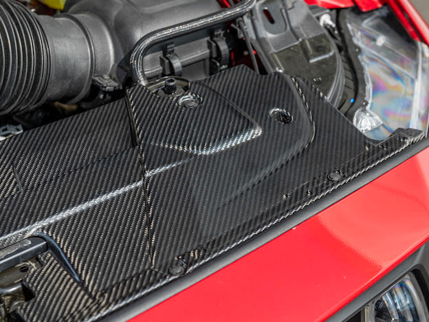 2024-UP MUSTANG S650 | CARBON FIBER ENGINE BAY RADIATOR PANEL TRIM REPLACEMENT
