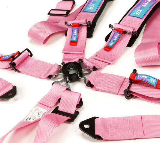 Pink NRG 5-point seat belt harness with cam lock, designed for racing or safety applications, shown in a close-up image.