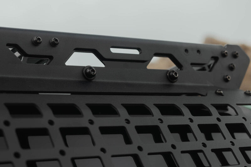 DV8 Offroad Toyota 4Runner exterior window molle panel for DV8 roof rack, driver side, mounted on vehicle window area.