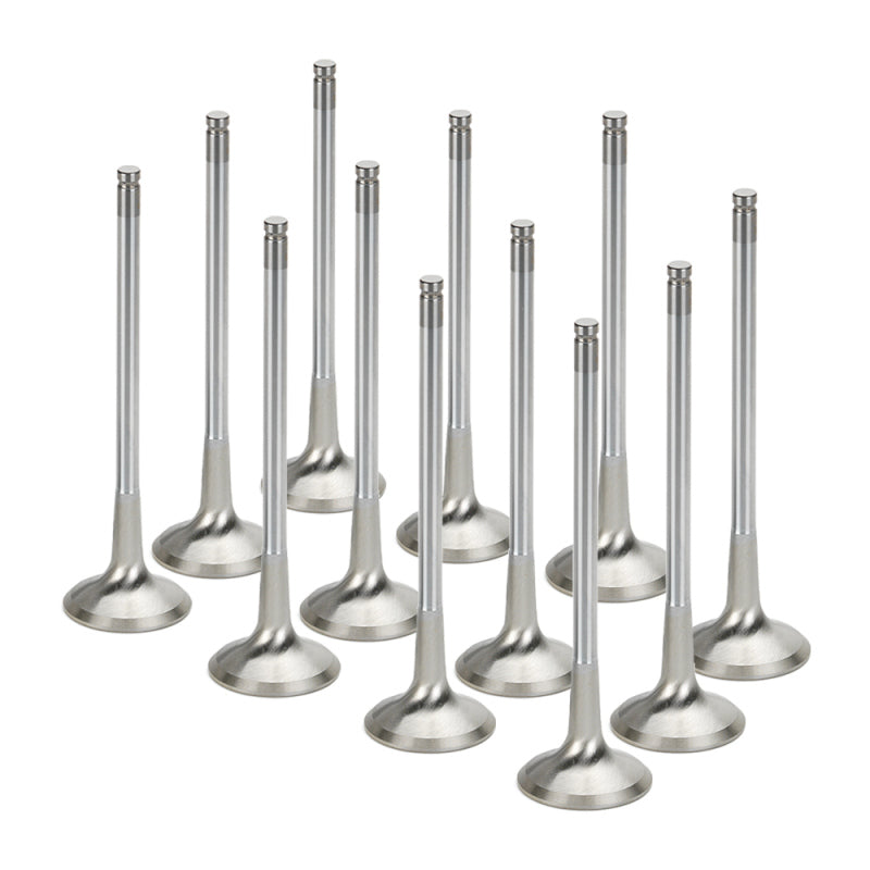 Set of 12 Supertech Audi/VW 1.8T 5V Inconel exhaust valves showing shiny metal surfaces and precise manufacturing details.