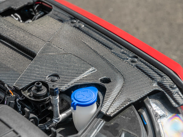 2024-UP MUSTANG S650 | CARBON FIBER ENGINE BAY RADIATOR PANEL TRIM REPLACEMENT