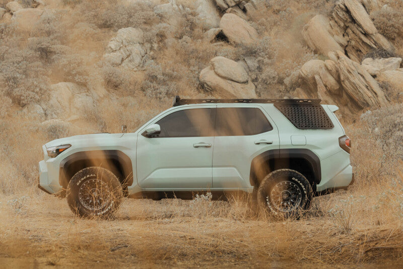 DV8 Offroad Toyota 4Runner exterior window Molle panel for DV8 roof rack, driver side exterior trim accessory.