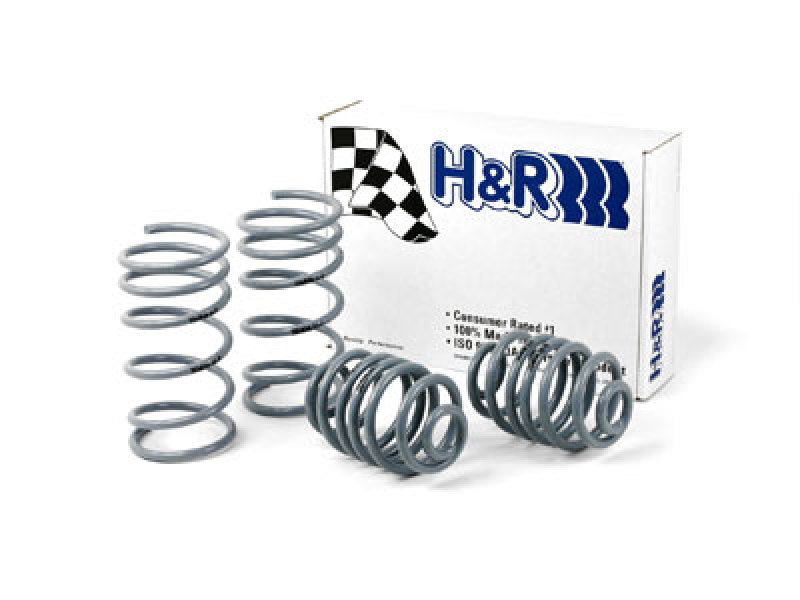 H&R lowering springs for BMW 325e/325i/325is E30, OE sport springs, non-cabrio and ix models, shown in the image.
