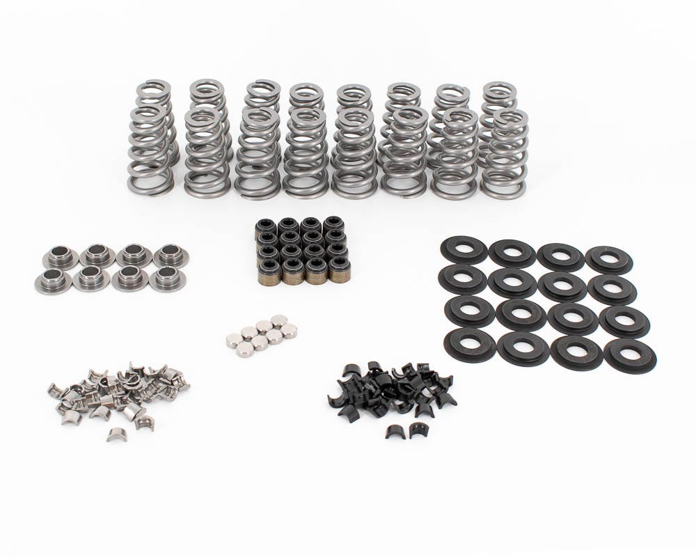 BTR LT4 CONICAL SPRING KIT W/VALVE TIP SAVERS - .650" - BTR-SK014/TS