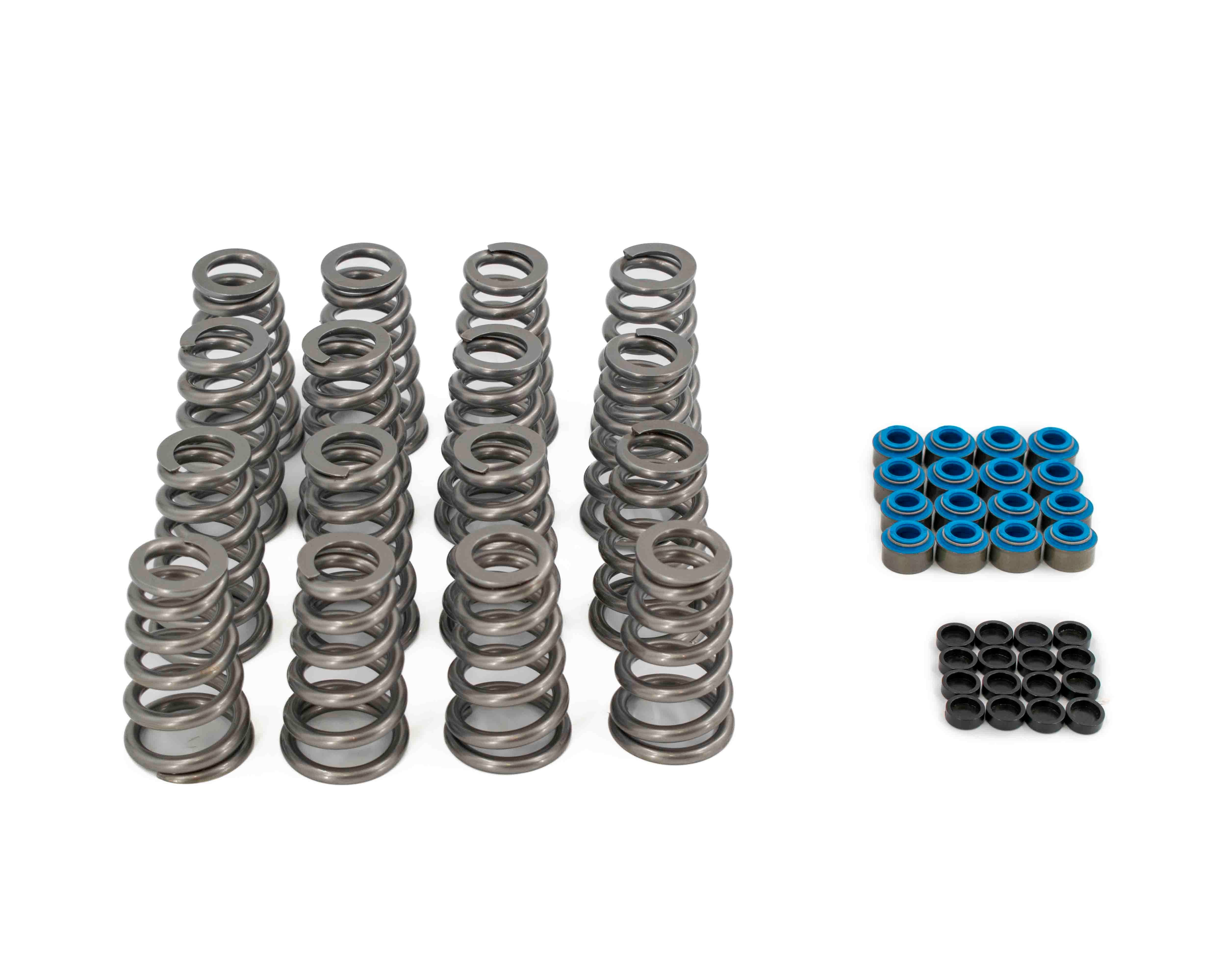 BTR 2009+ 5.7 HEMI .650" LIFT VALVE SPRING KIT WITH TIP SAVERS - SK017/TS
