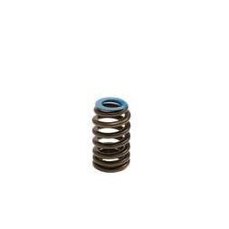 BTR .550" LIFT GEN V SINGLE BEEHIVE VALVE SPRING - LIKE 12691120 - BTR91120