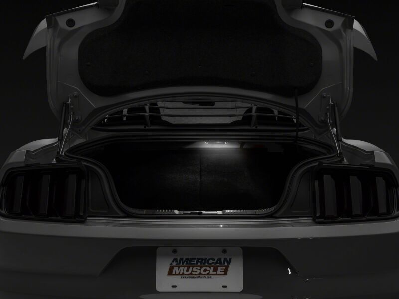 Raxiom Ford Mustang interior LED lighting kit in cool white, stage 2 axial series with LED strips and control modules inside the car.