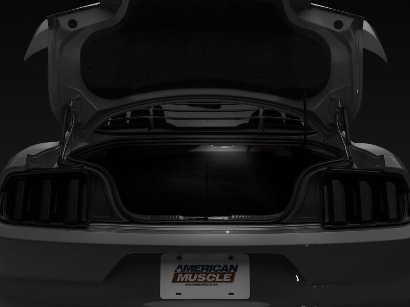 Raxiom 15-23 Ford Mustang Axial Series Stage 1 interior LED lighting kit in cool white with LED strips and control modules visible inside the car.