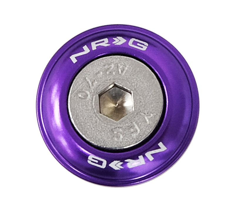 NRG purple fender washer kit with rivets for plastic, set of 10, automotive hardware kit for secure mounting and repairs