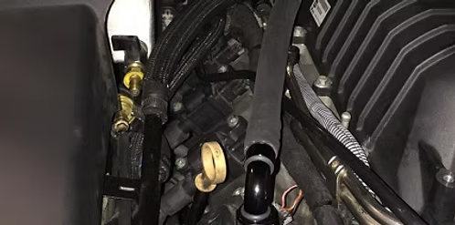 MIGHTY MOUSE SOLUTIONS - CTS-V2 WILD