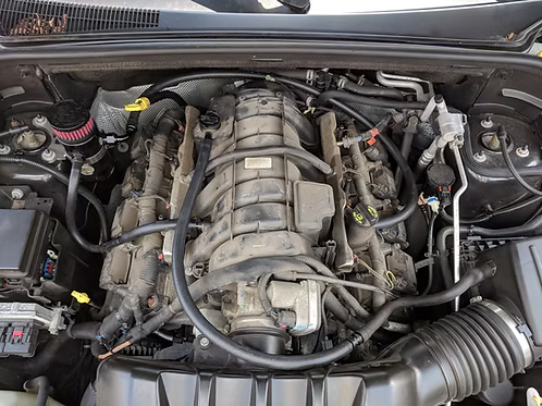 MIGHTY MOUSE SOLUTIONS - WK2 Hemi WILD