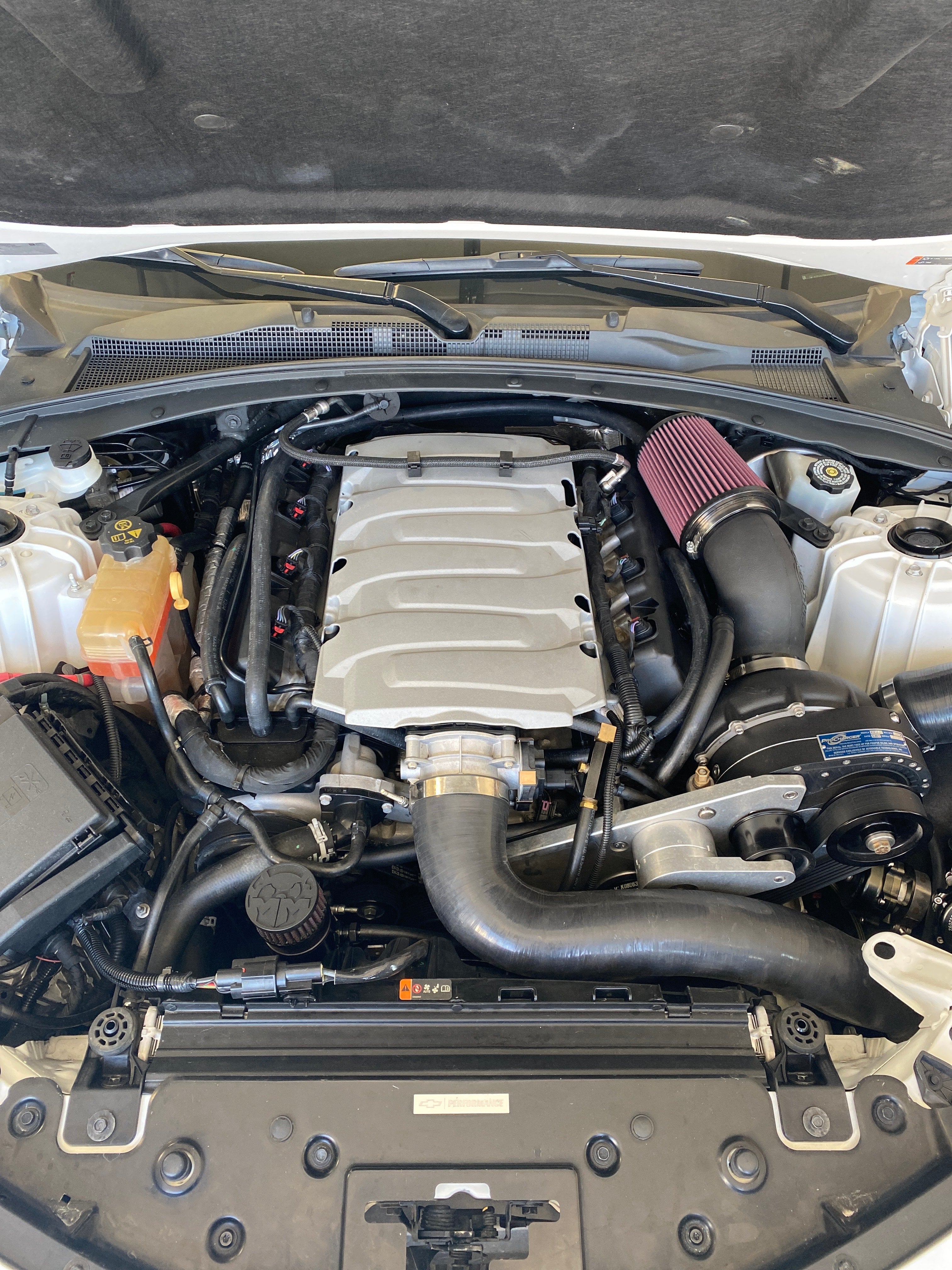 MIGHTY MOUSE SOLUTIONS - Camaro 6 WILD