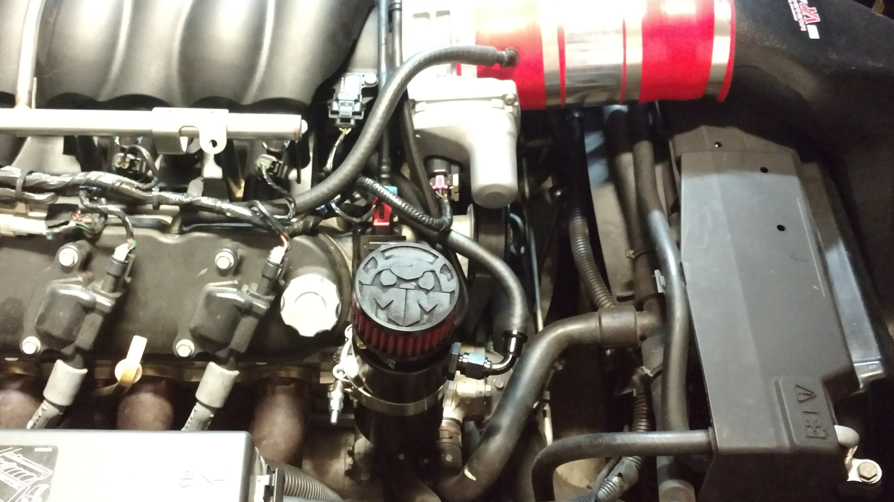 MIGHTY MOUSE SOLUTIONS - C5 / 6 MILD ( GTO / CTS-V1 )