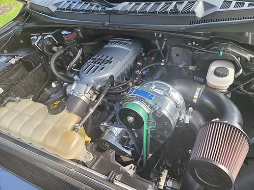 MIGHTY MOUSE SOLUTIONS - 5.0 F150 WILD