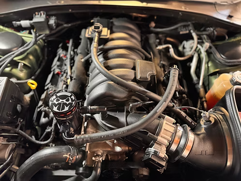 MIGHTY MOUSE SOLUTIONS - SRT WILD