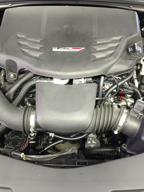 MIGHTY MOUSE SOLUTIONS - ATS-V MILD