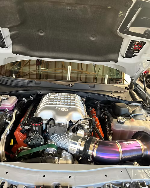 MIGHTY MOUSE SOLUTIONS - Hellcat / Demon WILD