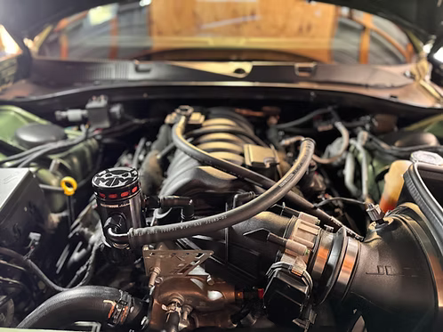 MIGHTY MOUSE SOLUTIONS - SRT WILD