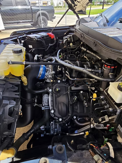 MIGHTY MOUSE SOLUTIONS - 5.0 F150 MILD