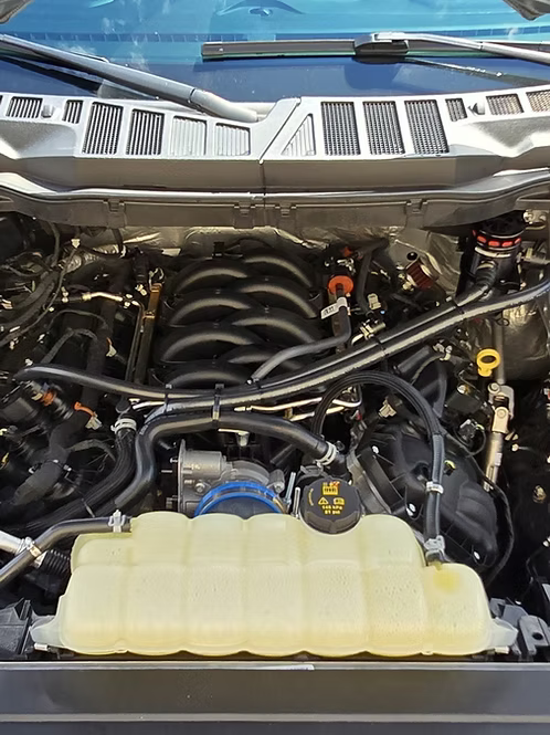 MIGHTY MOUSE SOLUTIONS - 5.0 F150 MILD