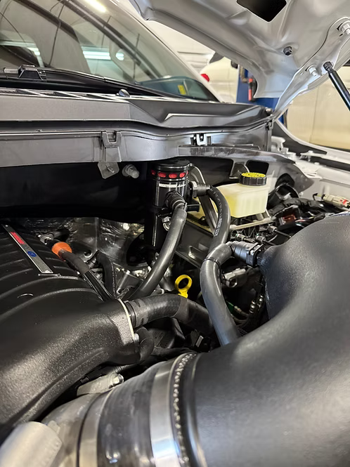 MIGHTY MOUSE SOLUTIONS - 5.0 F150 MILD