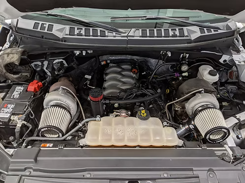 MIGHTY MOUSE SOLUTIONS - 5.0 F150 WILD