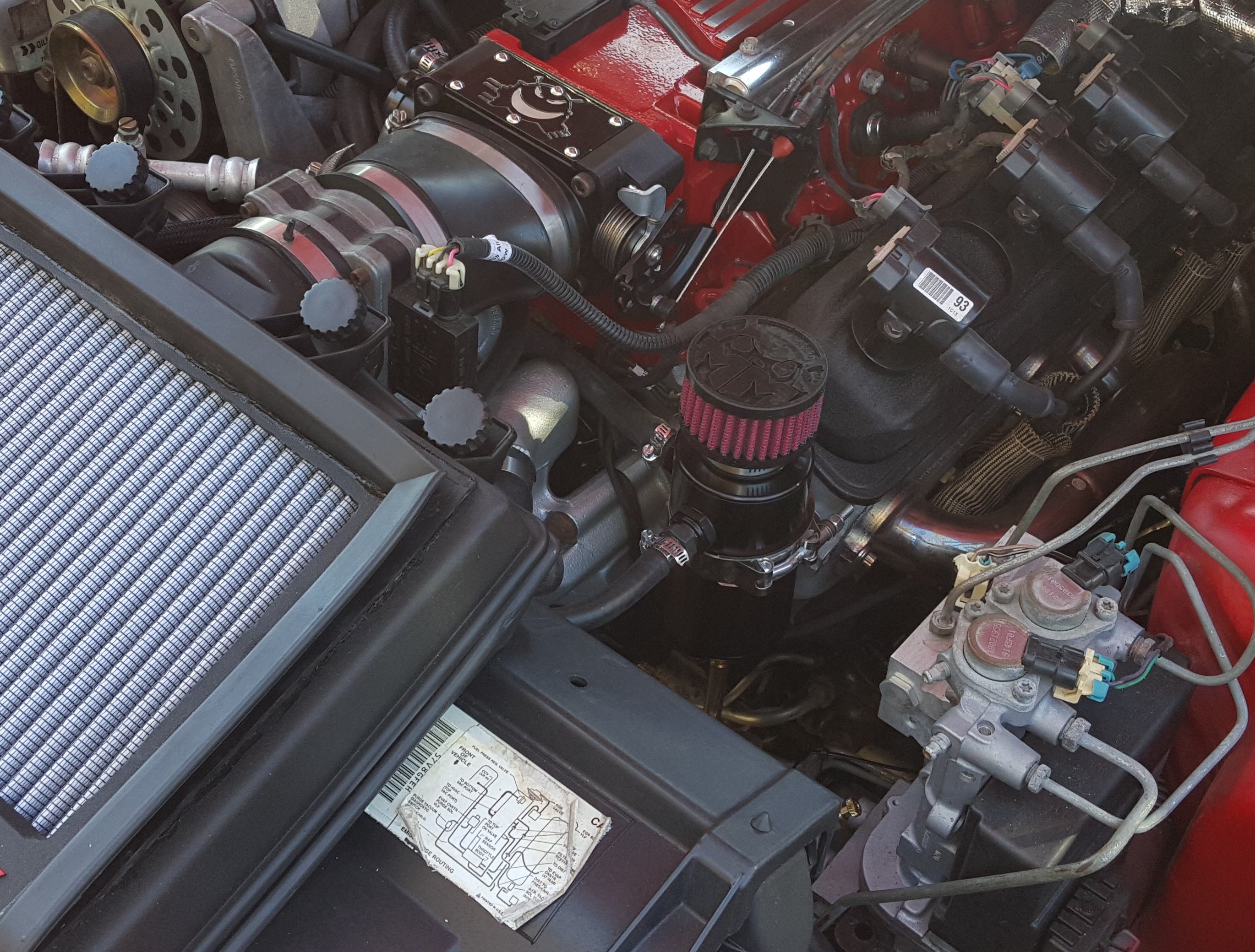 MIGHTY MOUSE SOLUTIONS - 4th Gen LT F-Body WILD