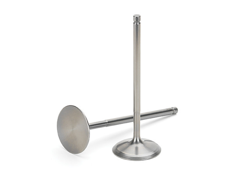 Set of 8 Supertech Honda K20/K24 titanium exhaust valves with +1mm oversize, showing polished valve heads and stems.