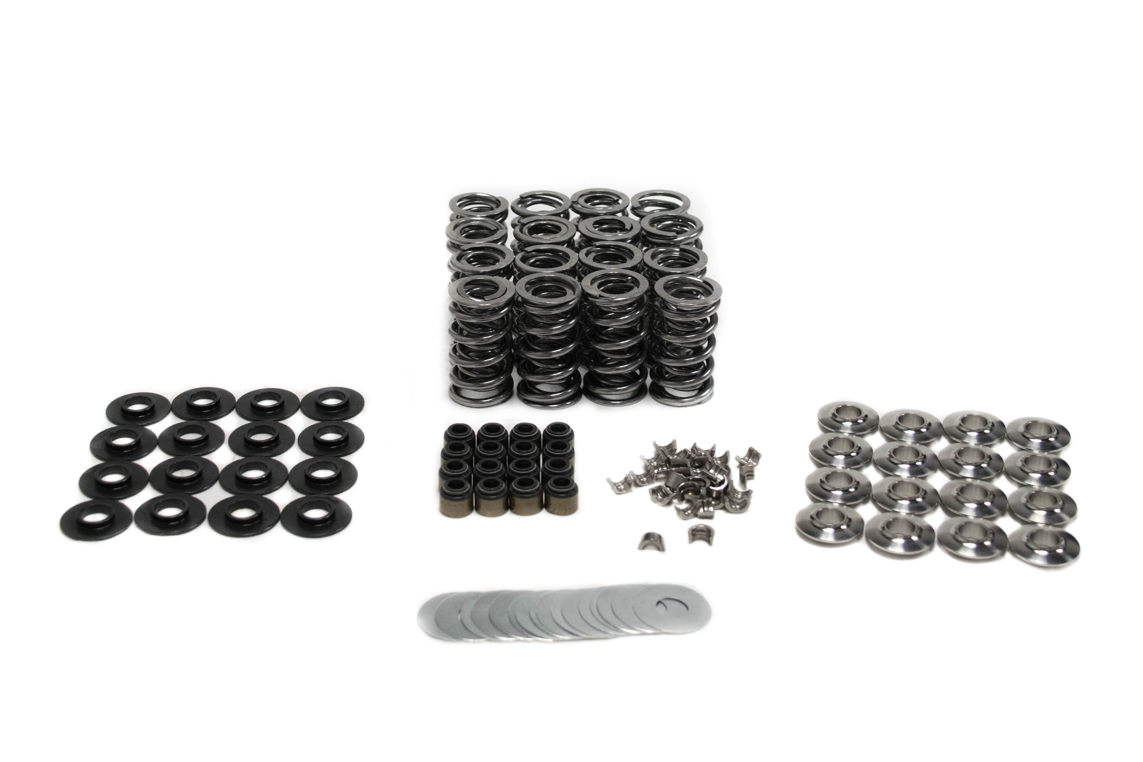 BTR .660" PLATINUM LT4 VALVE SPRING KIT BRONZE GUIDES - SK008/BZ