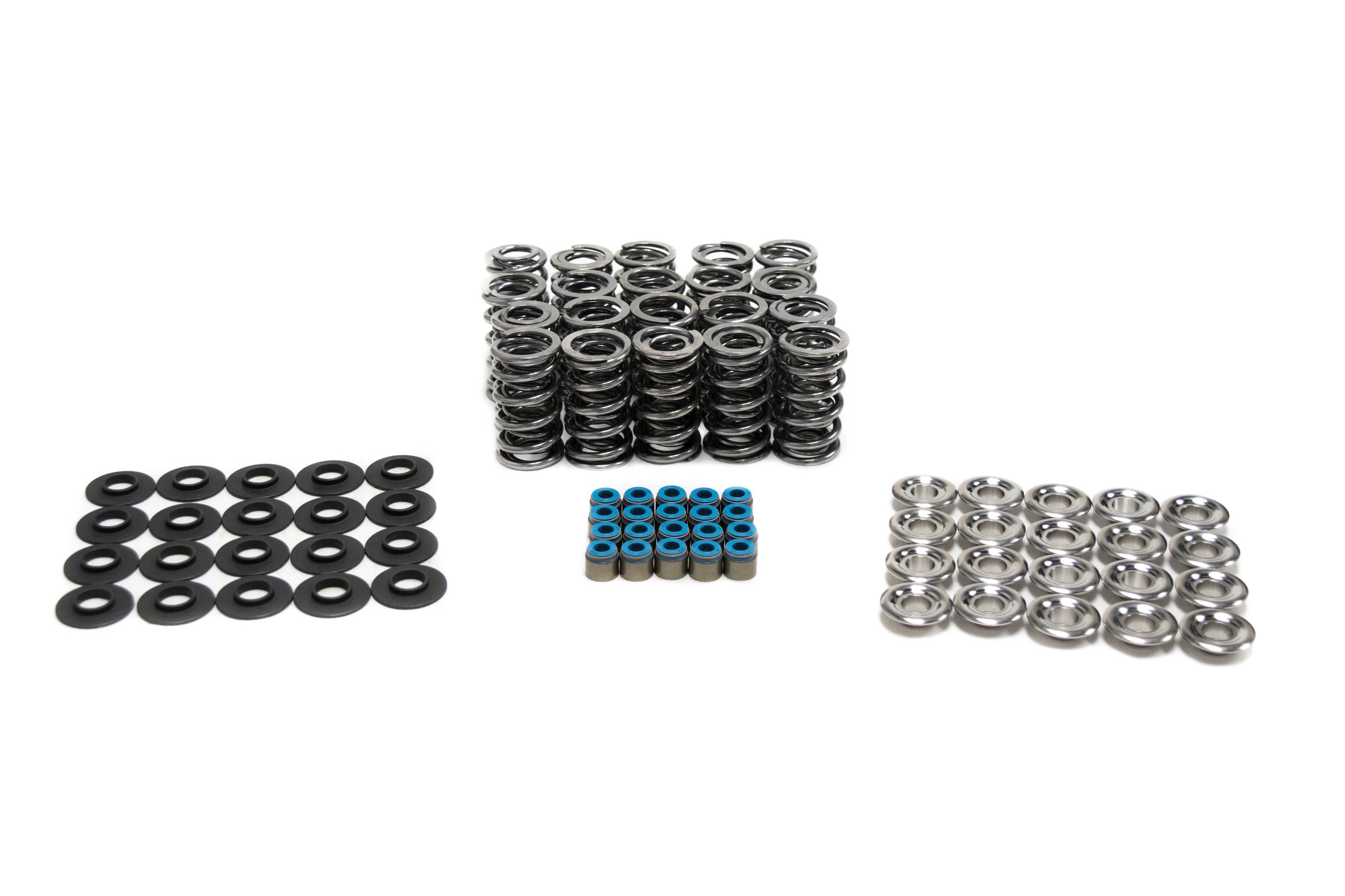 BTR PLATINUM GEN I DODGE VIPER DUAL SPRING KIT - .660" LIFT - SK010