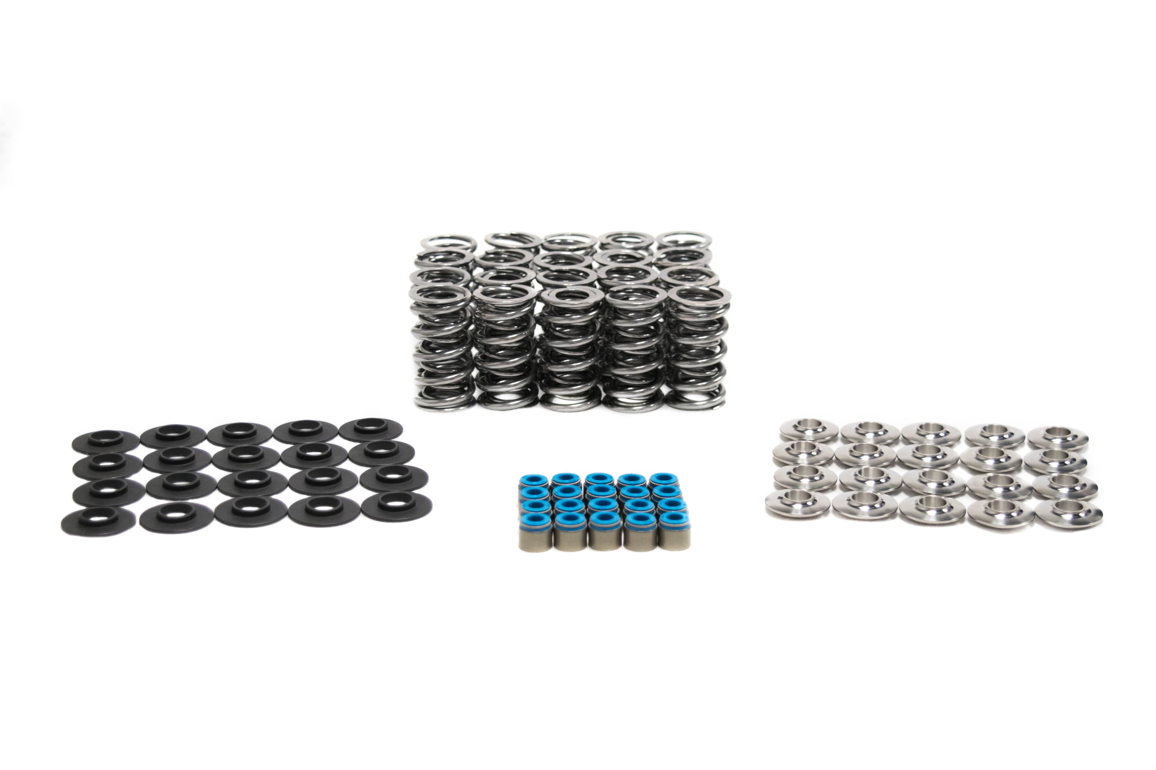 BTR PLATINUM GEN II DODGE VIPER DUAL SPRING KIT - .660" LIFT. - SK011
