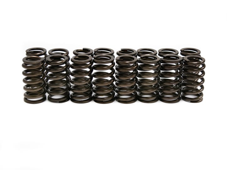 BTR FORD 2V MODULAR SPRING - .550 LIFT - 16 PC KIT - SP005-16