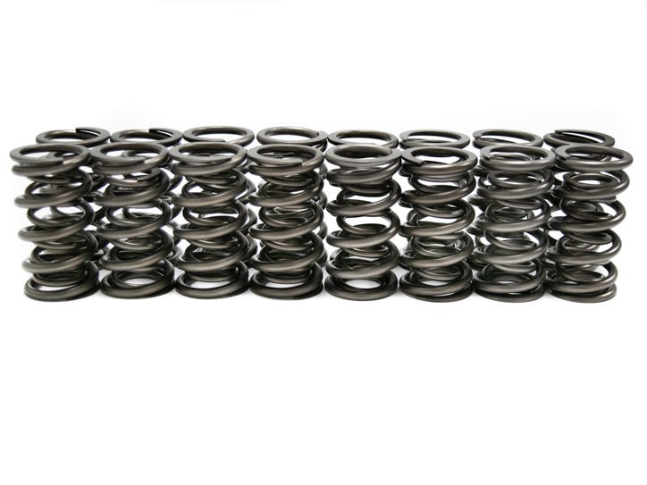 BTR PLATINUM PLUS DUAL SPRING - .685 LIFT - 16 PC KIT - SP010-16