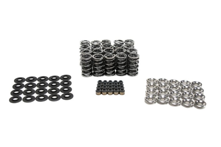 BTR PLATINUM GEN II DODGE VIPER DUAL SPRING KIT - .660" LIFT - SK011/VSLS (LS SEALS)