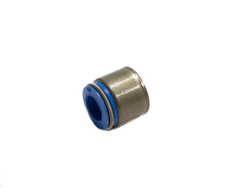 BTR VITON SEAL - .500 GUIDE - 5/16" STEM - .546" OD - SOLD INDIVIDUALLY - VS 31500V-1